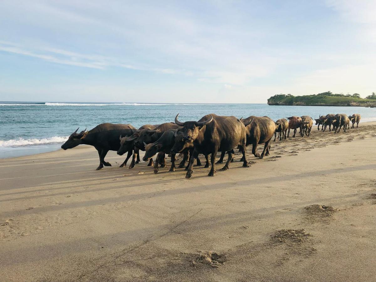 Sumba Beach House وايكابوباك المظهر الخارجي الصورة